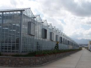 福建廈門玻璃溫室大棚 現(xiàn)代農(nóng)業(yè)技術的農(nóng)副產(chǎn)品生產(chǎn)典范