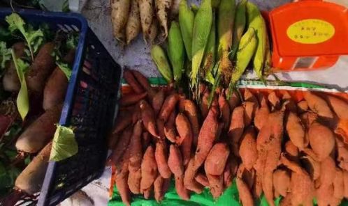 審計人助力打通農(nóng)副產(chǎn)品產(chǎn)銷對接最后一公里