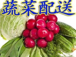北京新發(fā)地批發(fā)市場 同城食堂農(nóng)副產(chǎn)品食材專業(yè)配送服務