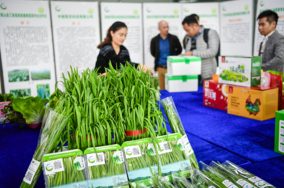 大灣區“菜籃子”產品清遠配送中心開業，農副產品“一站式”服務助力區域融合